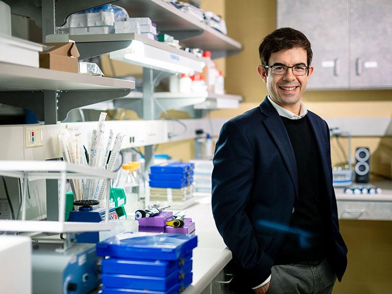 Research in aging to develop new early and preventive interventions against age-associated chronic disease is the goal of the Cell and Molecular Aging Laboratory.