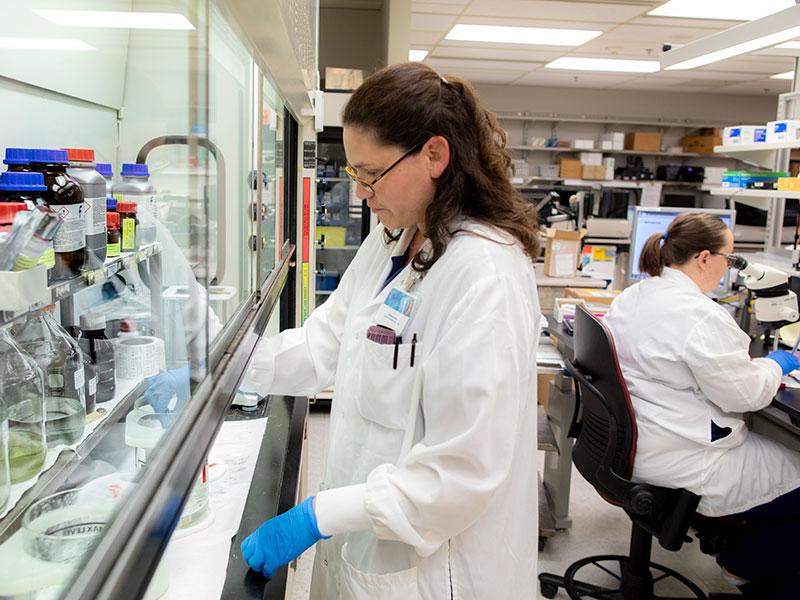 The Renal Laboratory provides testing for research and is actively developing new tests for renal function assessment.