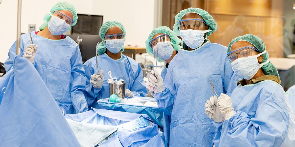 Participants in the Career Immersion Program at Mayo Clinic learn and practice surgical skills