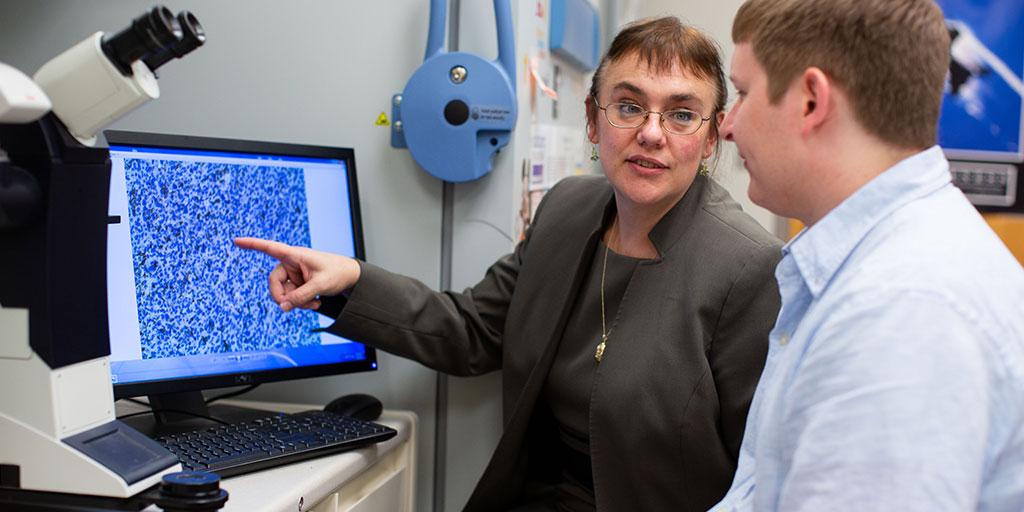 Mayo Clinic researcher reviewing imaging results with student