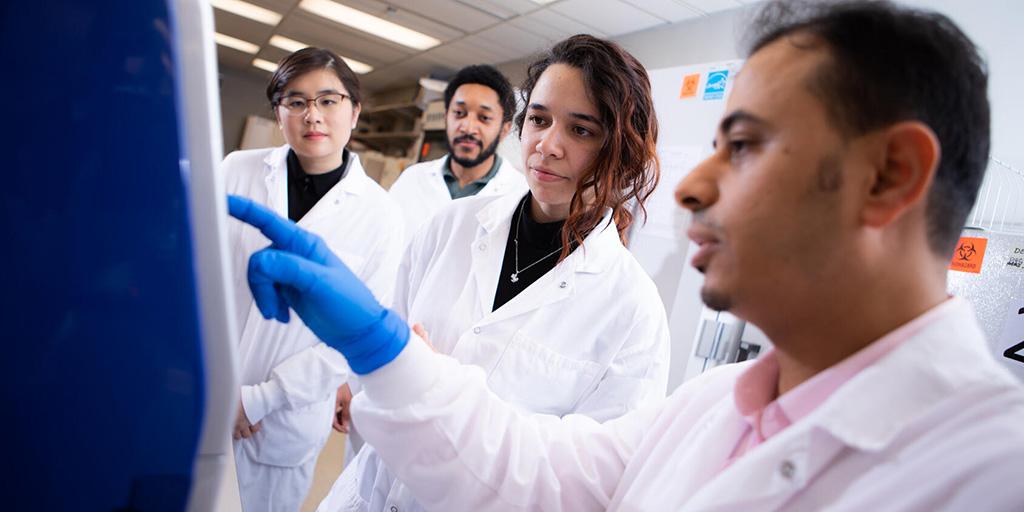 Faculty and student researchers in Mayo Clinic Graduate School of Biomedical Sciences look at an experiment in the lab