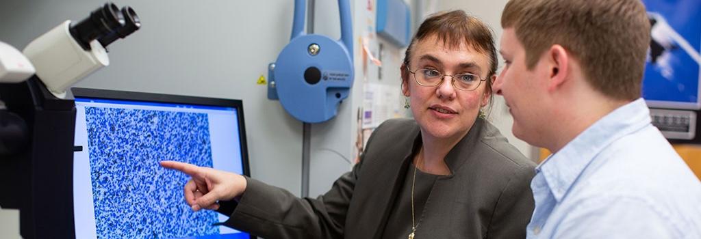 Biomedical Reseachers pointing at screen