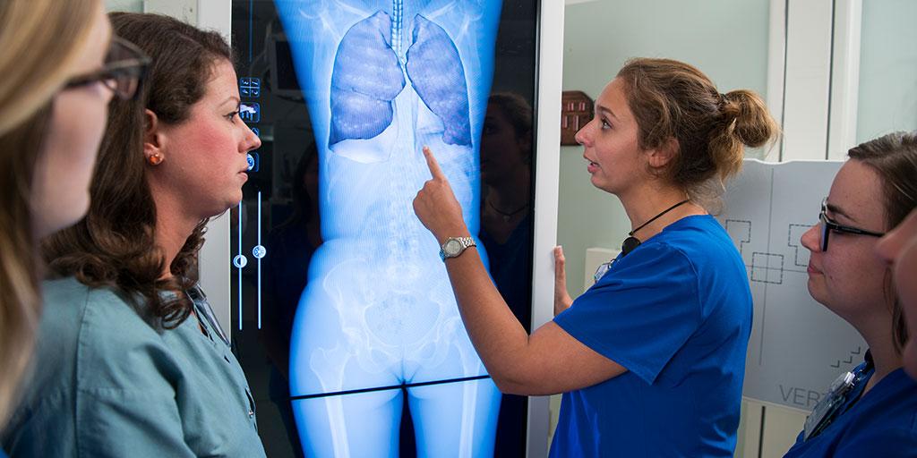 Mayo Clinic radiography students reviewing an imaging scan