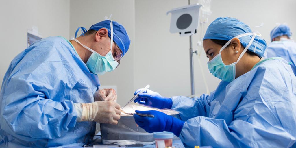 Physician and fellow prepare organ for transplant