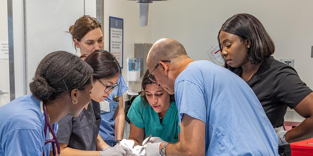 Six people from the Anesthesiology Residency program in Jacksonville, Florida, working in the lab and performing a procedure.