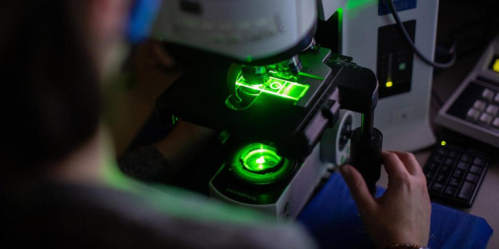 Cytopathology fellow working with a neon green microscope in the lab at Mayo Clinic in Rochester, Minnesota.