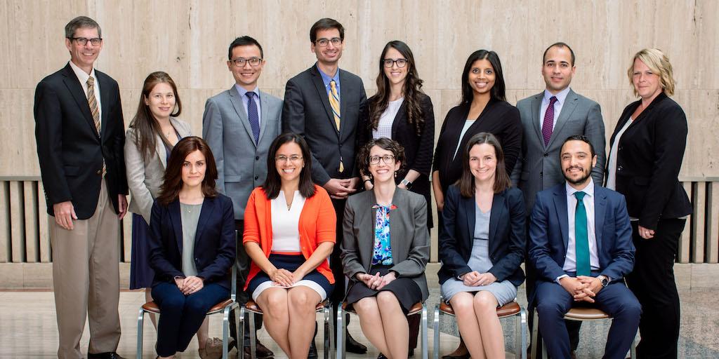 Mayo Clinic endocrinology fellows of spring 2019.