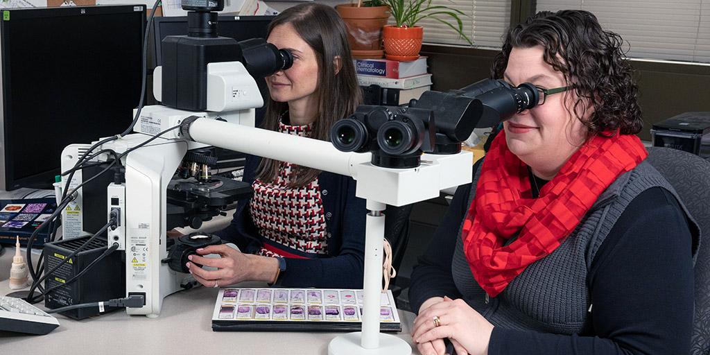 Mayo Clinic hematopathologists using microscopes