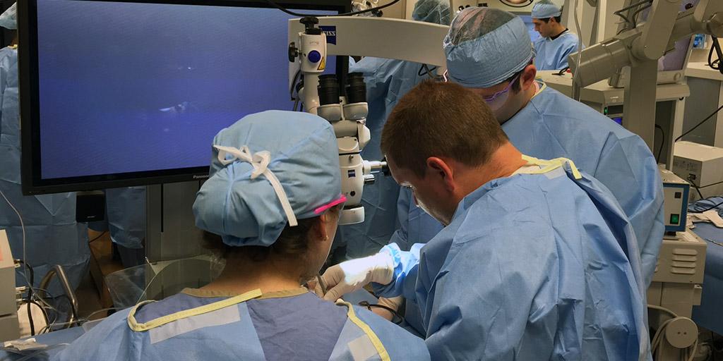 Mayo Clinic Lateral Skull Base Dissection Course