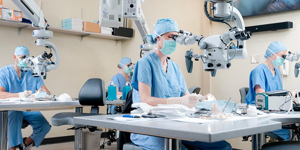 Mayo Clinic doctors in the Microsurgery Training Center