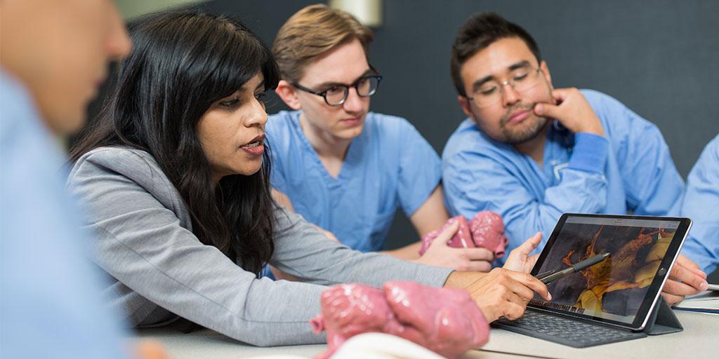 梅奥诊所教员与学生一起复习心脏解剖