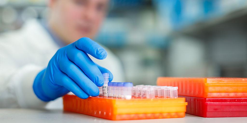 A Mayo Clinic Medical Science Training Program trainee