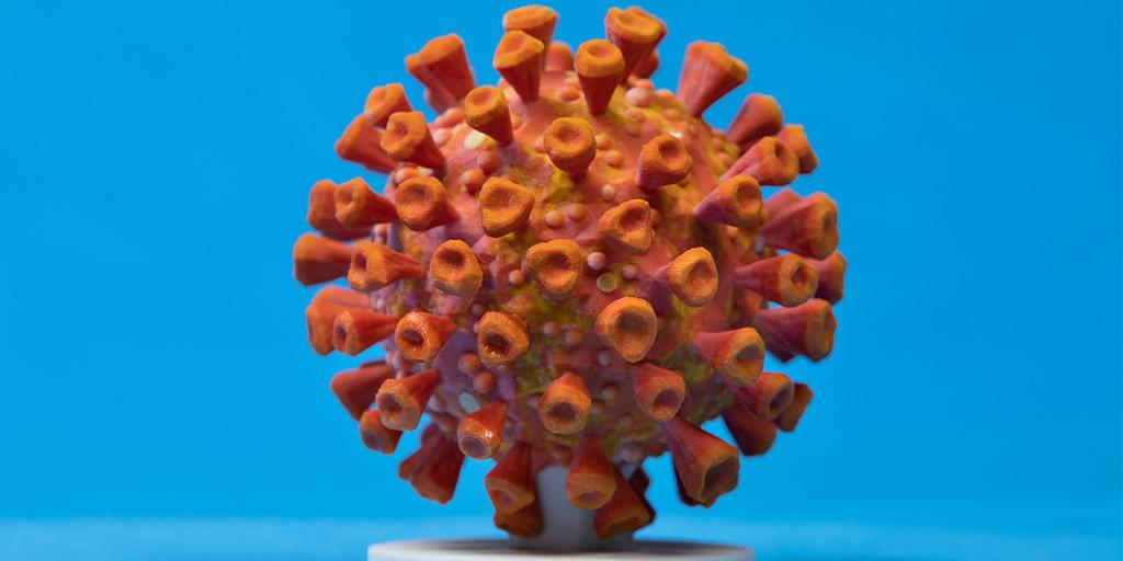 3-D printed COVID-19 model