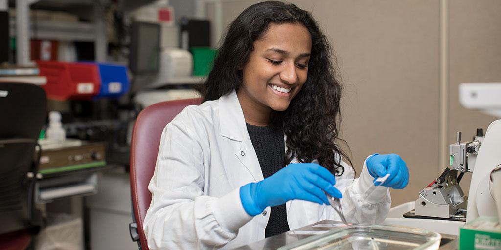 Student doing research