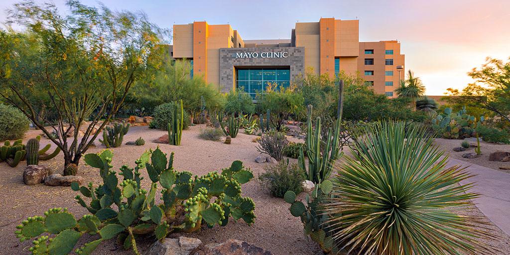 view of the Mayo Clinic building on the Arizona campus in a desert scene