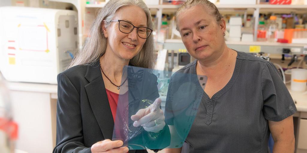 Evette Radisky, PhD, Cancer Biology Research consultant, reviews information on a transparent page with a researcher in a laboratory.