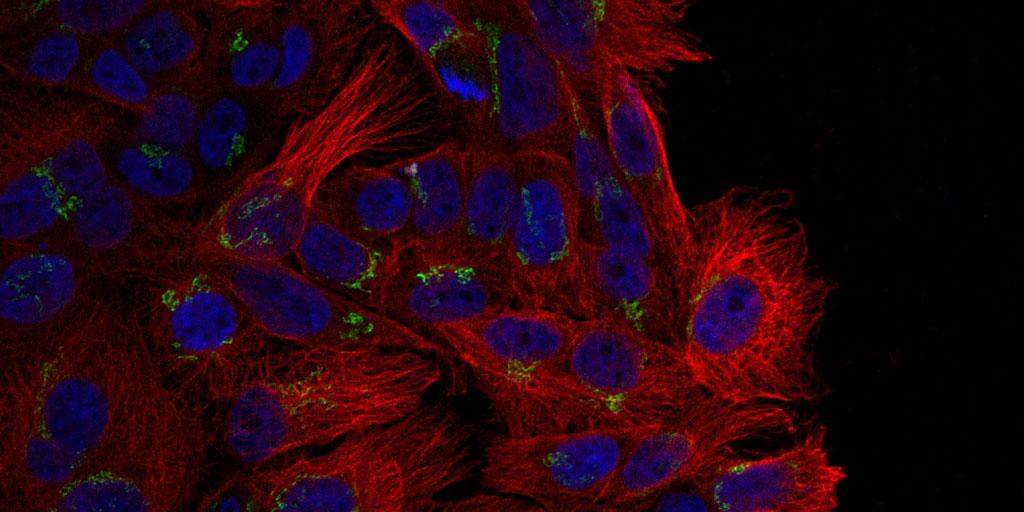 Views from under the microscope