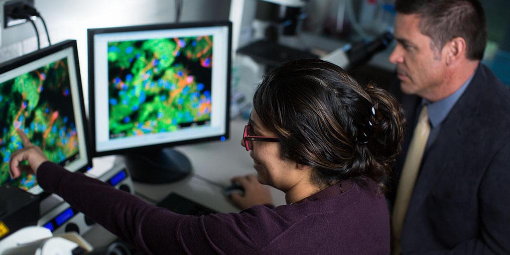 A scientist and Ph.D. student examine research graphics on a computer screen