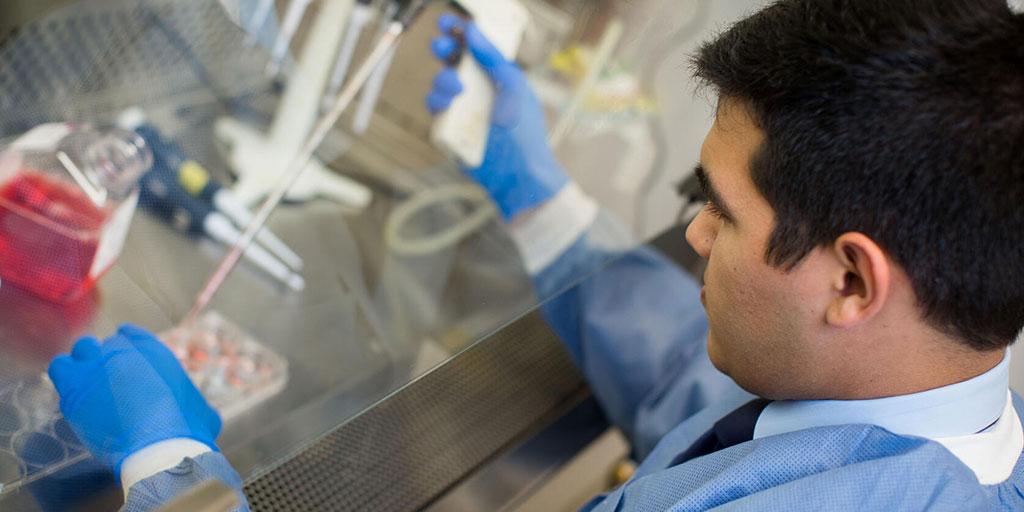 SURF student with pipette under hood in research lab setting