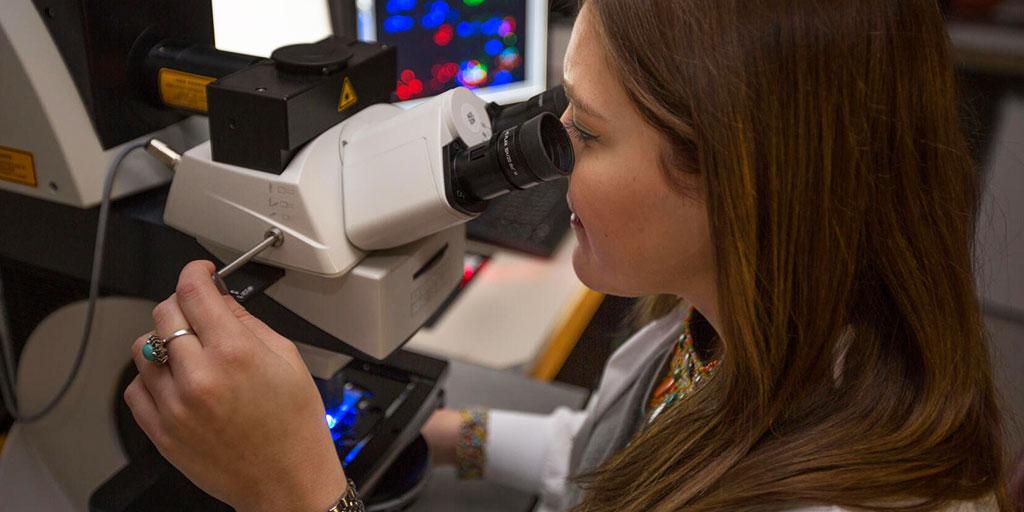 PREP student in the lab at Mayo Clinic in Rochester, Minnesota.