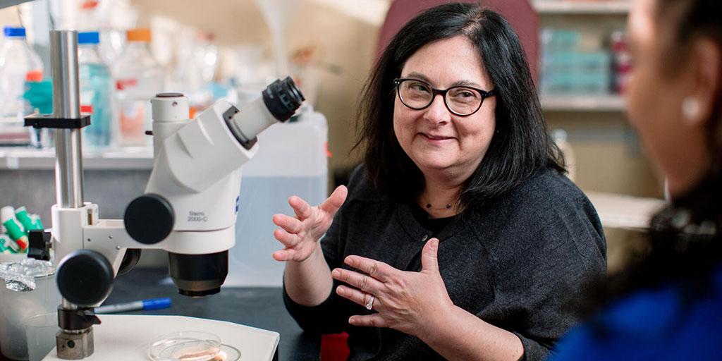 Dr. Schimmenti mentoring a PREP student in the lab at Mayo Clinic in Rochester, Minnesota.