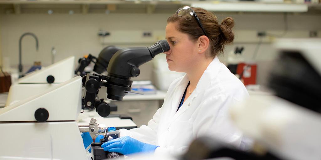A Mayo Clinic histology technician completing a renal biopsy