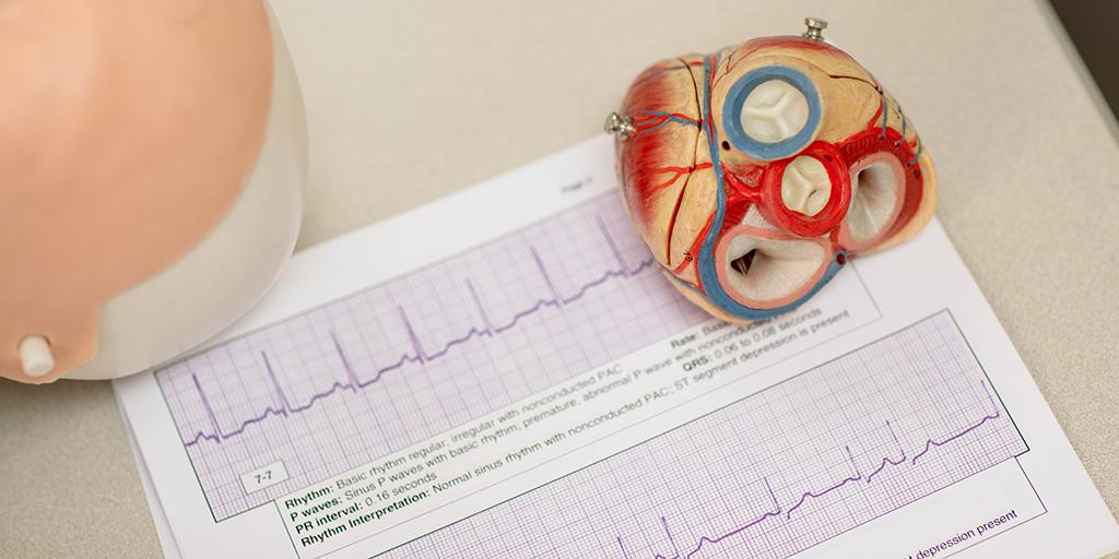 EP results in the Cardiovascular Invasive Specialist program