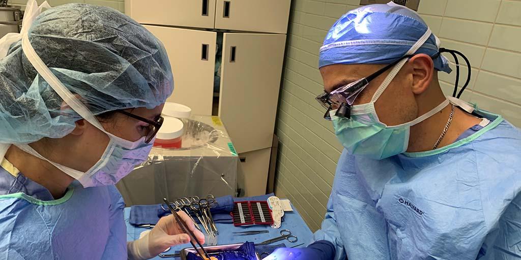 Abdominal transplant fellows Dr. Husen and Dr. Thalji perform surgery