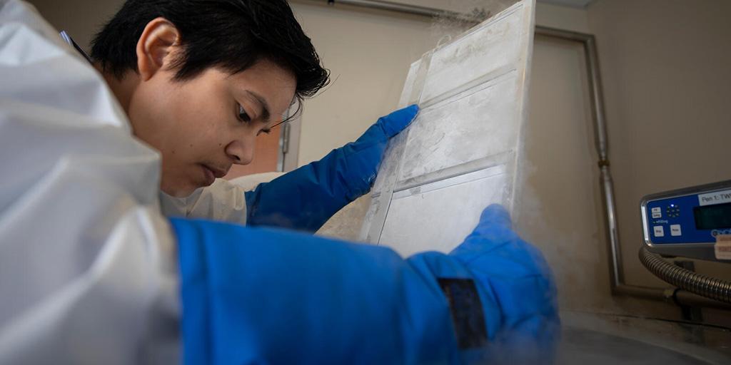 A person from the Anatomic and Clinical Pathology Residency program at Mayo Clinic in Jacksonville, Florida, removed samples from a tank in the Cell Therapy lab tank room.