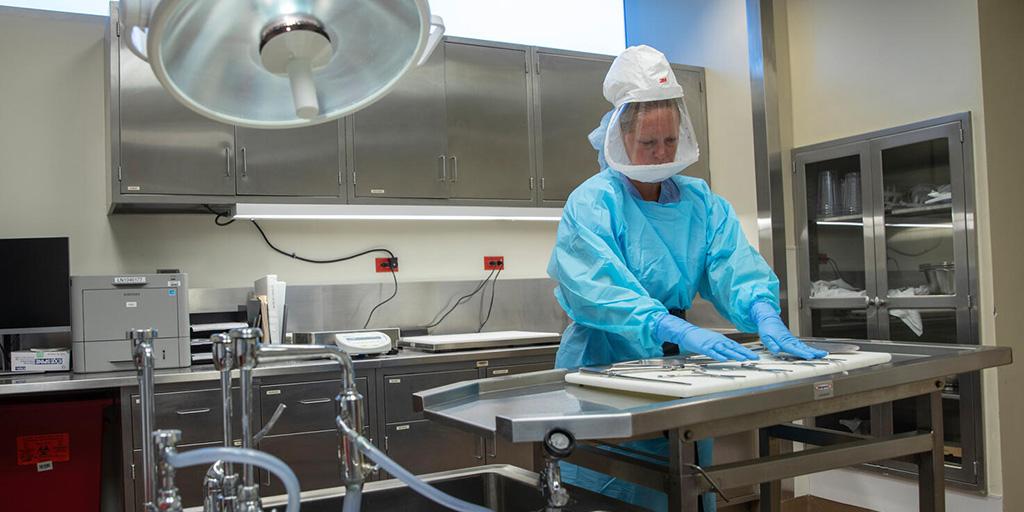 A person from the Anatomic and Clinical Pathology Residency program at Mayo Clinic in Jacksonville, Florida, prepared tools for an autopsy.