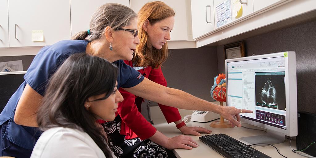 Cardiovascular Diseases fellows and faculty member look at a heart scan together in Jacksonville, Florida.