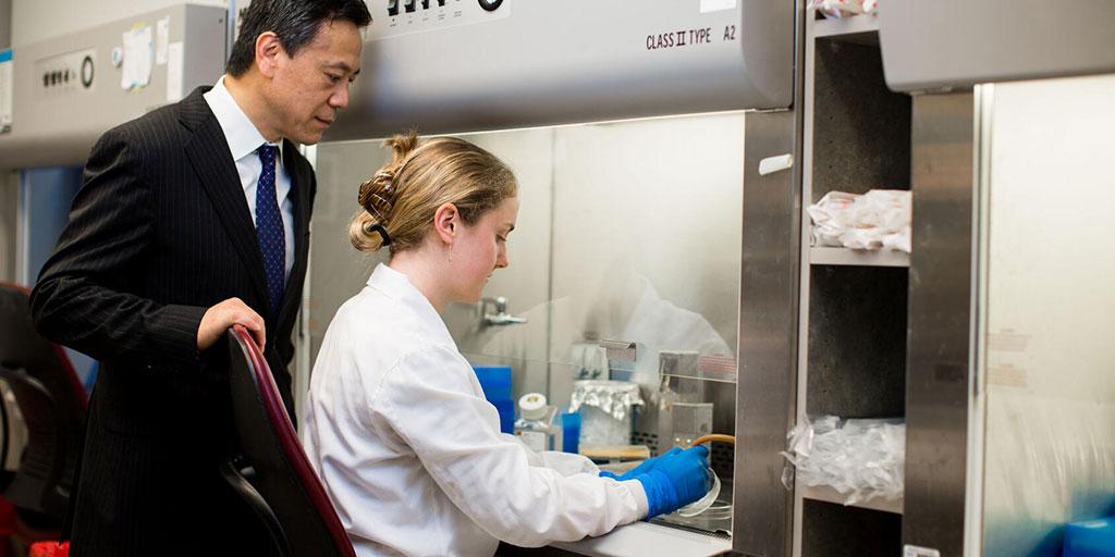 Mayo Clinic researchers collaborate in the lab