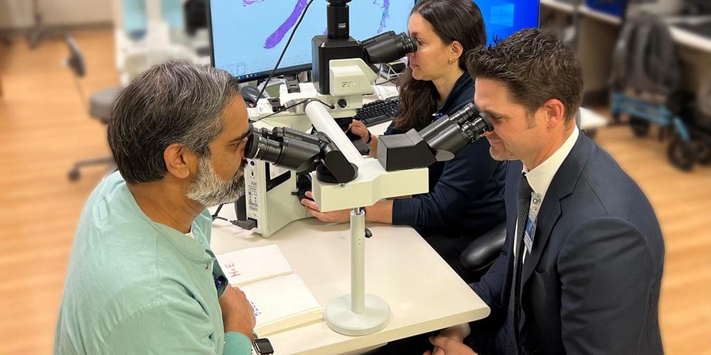 Pathology faculty members look through microscopes in a classroom at Mayo Clinic