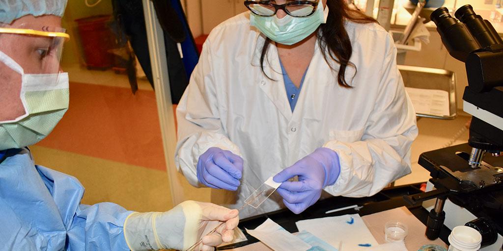 Mayo Clinic Florida's Musculoskeletal Imaging Fellowship provides an opportunity for clinical radiology and research training 