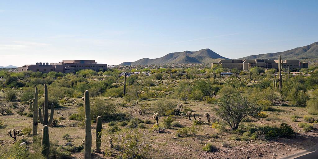 Mayo Clinic Scottsdale Campus