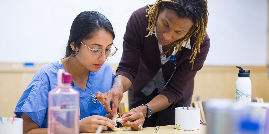 A simulation center faculty at Mayo Clinic instructs an obstetrics hospitalist fellow on suture technique