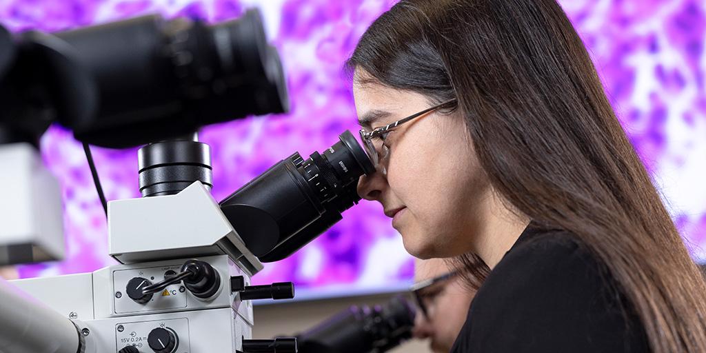 Student in Pulmonary Pathology Fellowship program looking through microscope