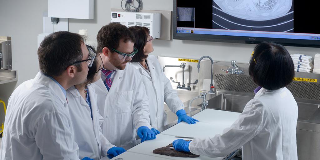 Pulmonary pathologists study an image