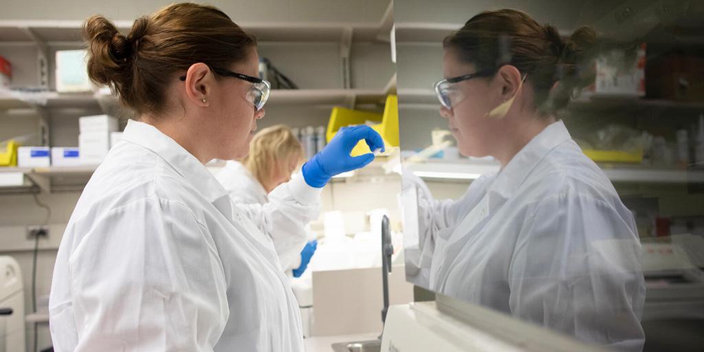 Two people working in a pathology lab.
