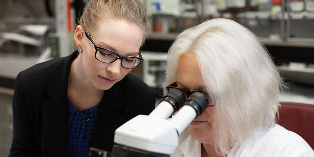 Renal pathologists at work