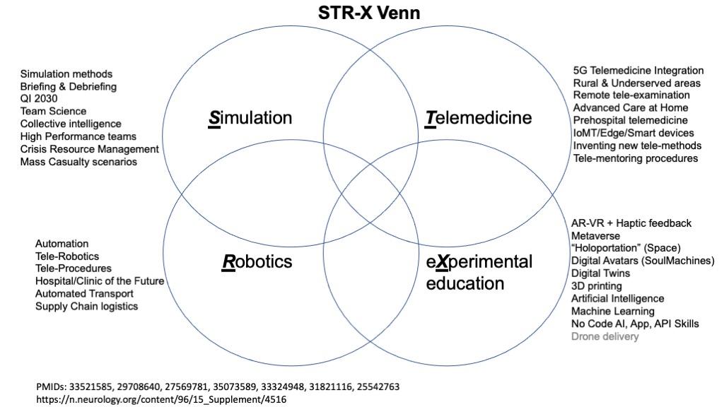 Diagram around the core areas for the 12-month fellowship