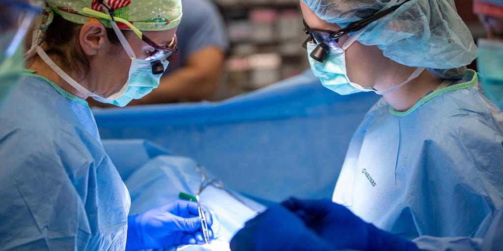 Candace Granberg, MD, Surgical Urology consultant, and Amanda Seyer, MD, MEd, Urology resident, are shown working together during a surgical operation.