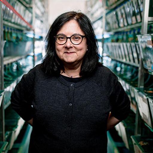 Profile photo of Dr. Schimmenti