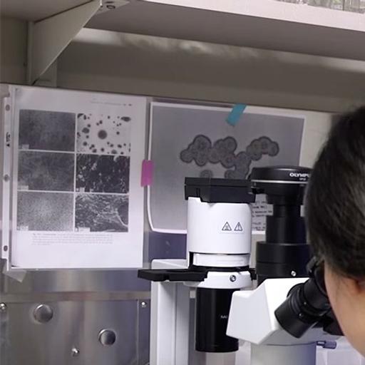 Student story: Meet Tamiel Turley