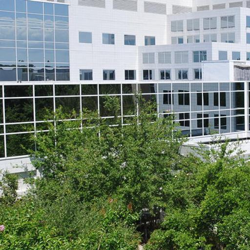 Video: Highlights of Mayo Clinic in Florida