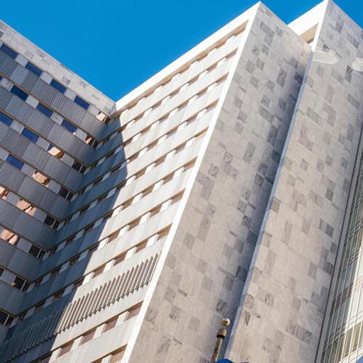 Video: A girl with a dream becomes a woman with a vision, an interview with Dr. Shanterian King