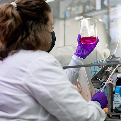 Erin McGlinch, Ph.D., student in Mayo Clinic Graduate School of Biomedical Sciences, works in the lab