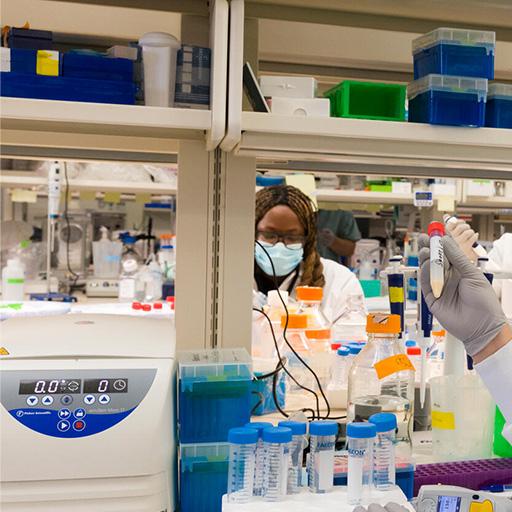 "I know that my work is very impactful"