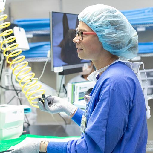 A day in the life in sterile processing