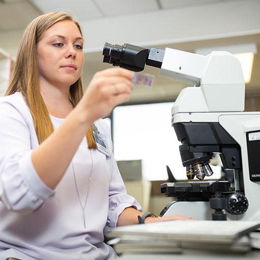 Mayo Clinic cytotechnology student reviewing specimens using a microscope